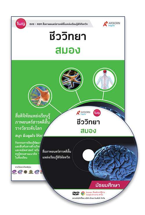 DVD-Rom Twig สมอง